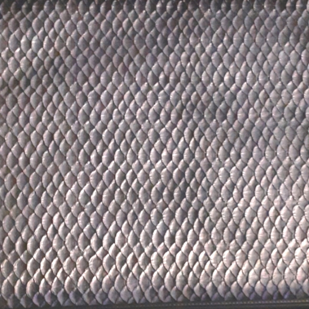 Textured Scale Art